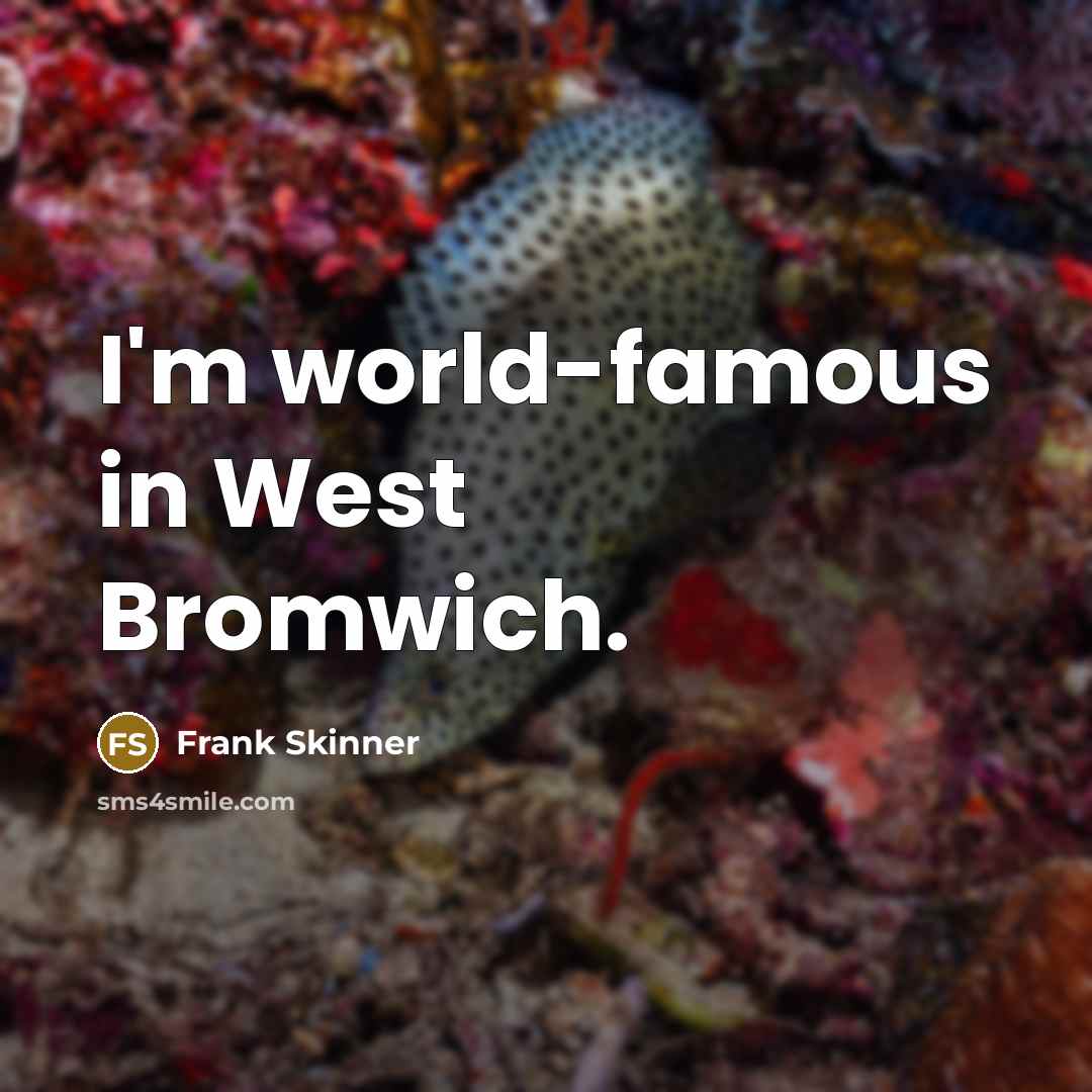 “I'm world-famous in West Bromwich.…” quote by Frank Skinner