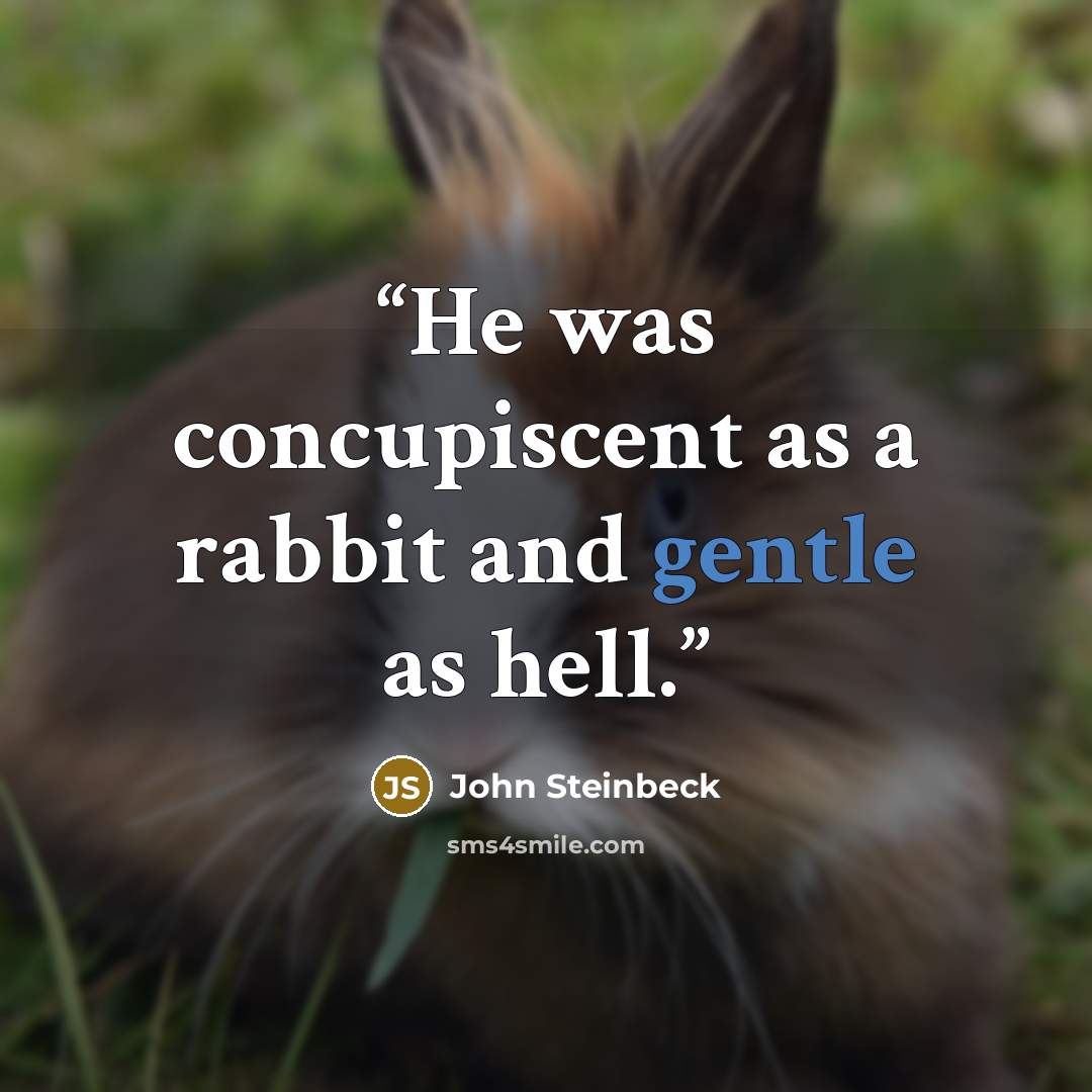 “He was concupiscent as a rabbit and gentle as hell.” quote by John Steinbeck