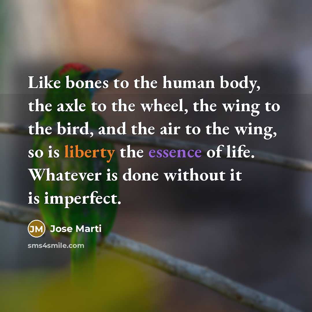 “Like bones to the human body, the axle to the…” quote by Jose Marti