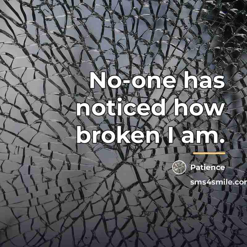 “No-one has noticed how broken I am.…” quote by Patience