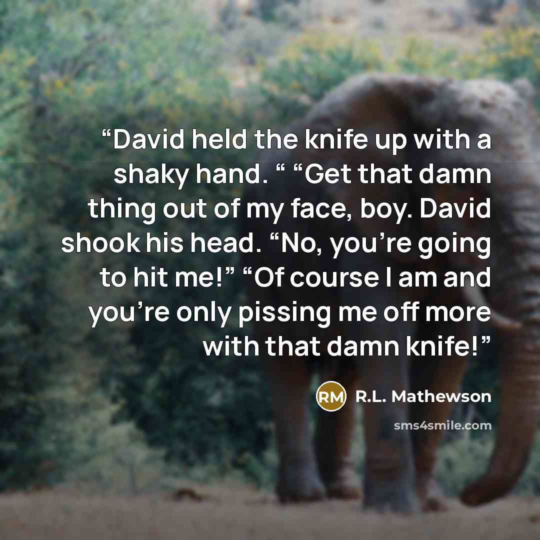 “David held the knife up with a shaky hand. “ “Get that damn thing out of my face, boy. David shook his head. “No, you’re going to hit me!” “Of course I am and you’re only pissing me off more with that damn knife!” quote by R.L. Mathewson
