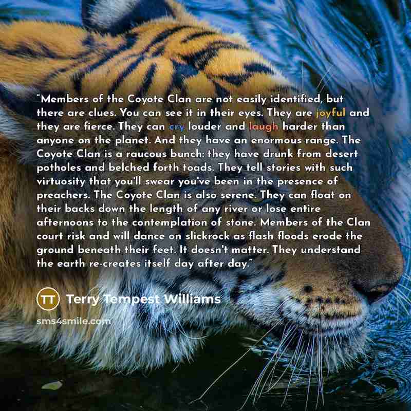 “Members of the Coyote Clan are not easily identified, but there are clues. You can see it in their eyes. They are joyful and they are fierce. They can cry louder and laugh harder than anyone on the planet. And they have an enormous range. The Coyote Clan is a raucous bunch: they have drunk from…” quote by Terry Tempest Williams