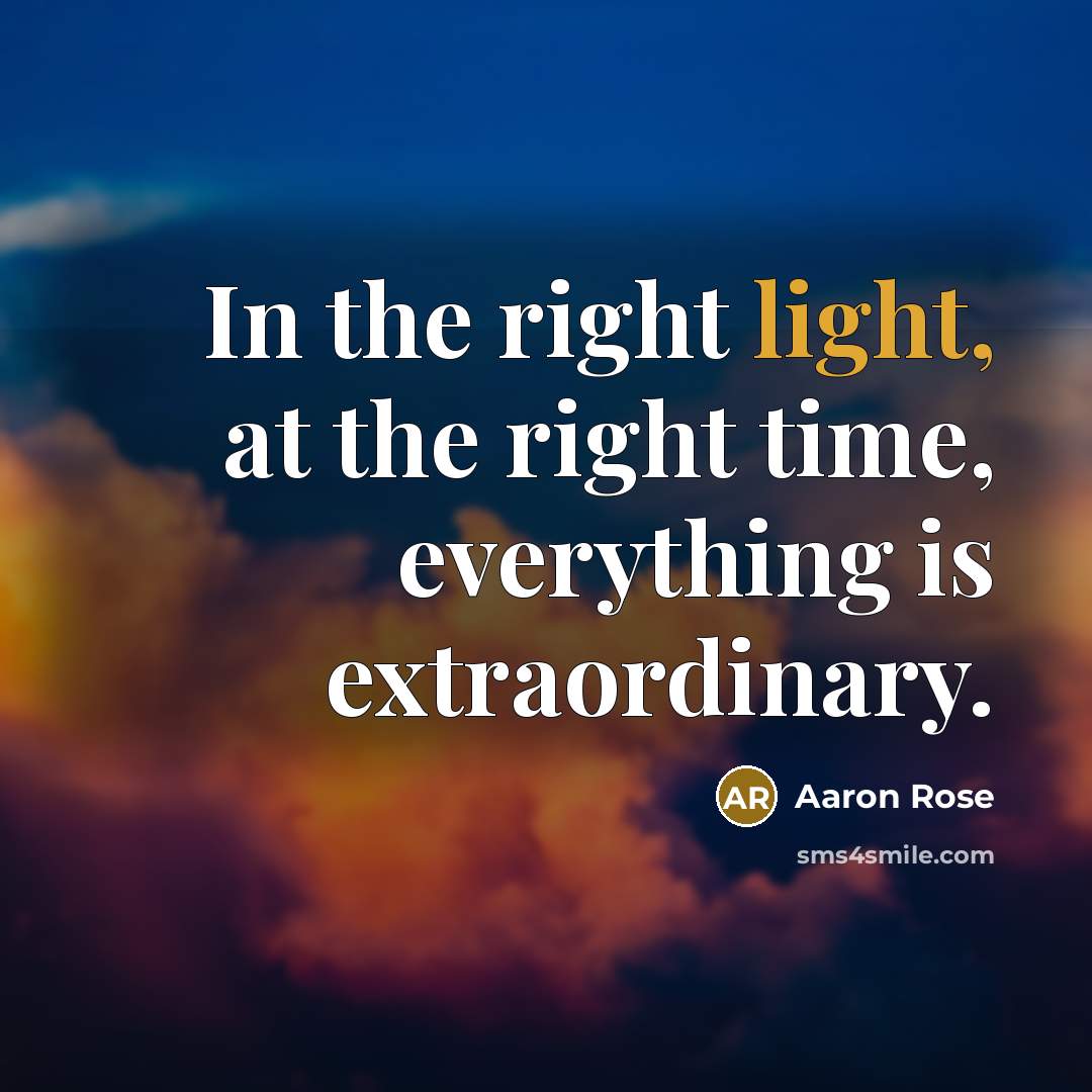 “In the right light, at the right time, everything is…” quote by Aaron Rose