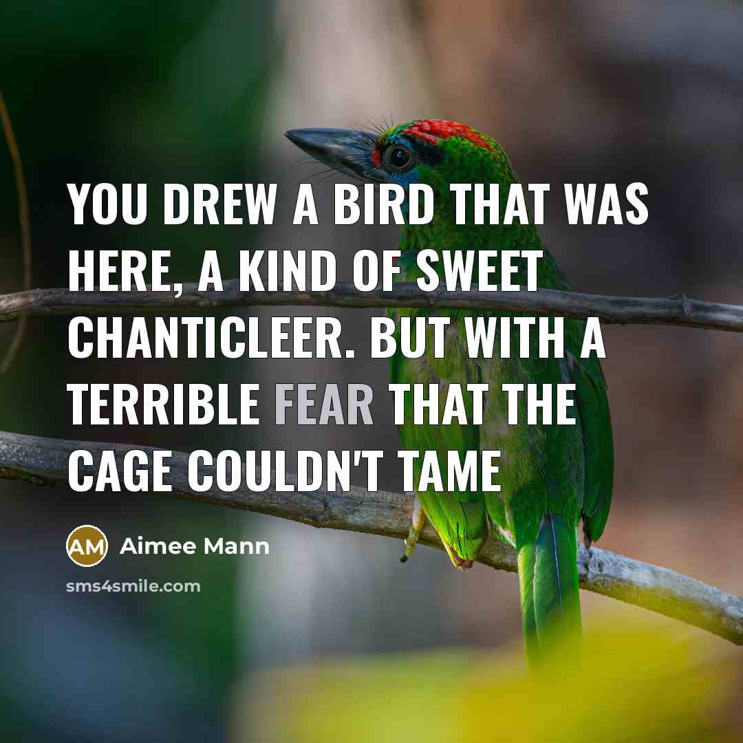 “You drew a bird that was here, a kind of…” quote by Aimee Mann