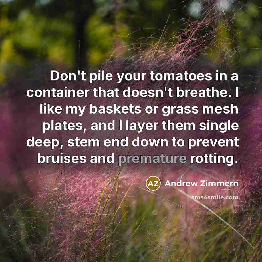 “Don't pile your tomatoes in a container that doesn't breathe. I like my baskets or grass mesh plates, and I layer them single deep, stem end down to prevent bruises and premature rotting.” quote by Andrew Zimmern