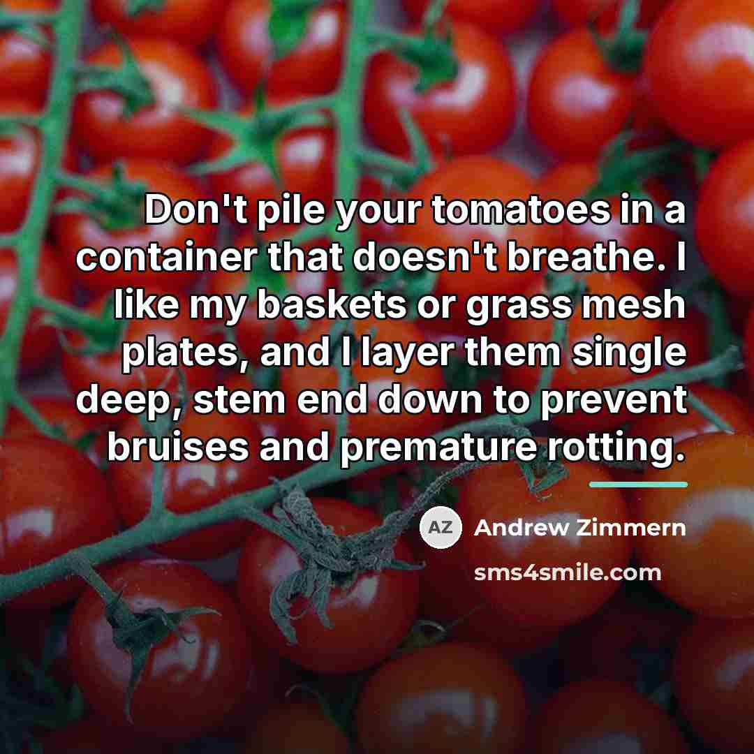 “Don't pile your tomatoes in a container that doesn't breathe.…” quote by Andrew Zimmern