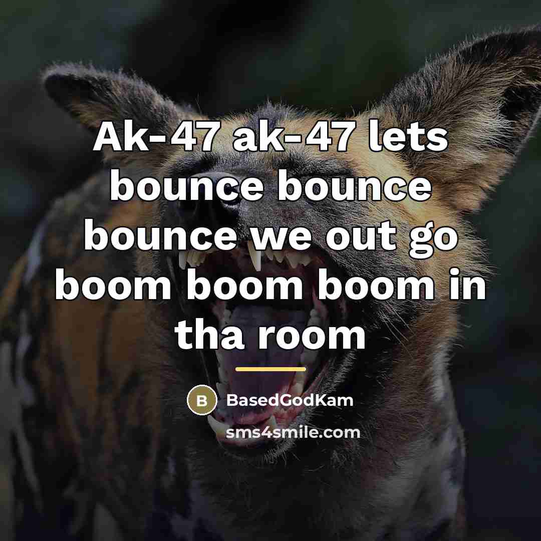 “Ak-47 ak-47 lets bounce bounce bounce we out go boom…” quote by BasedGodKam