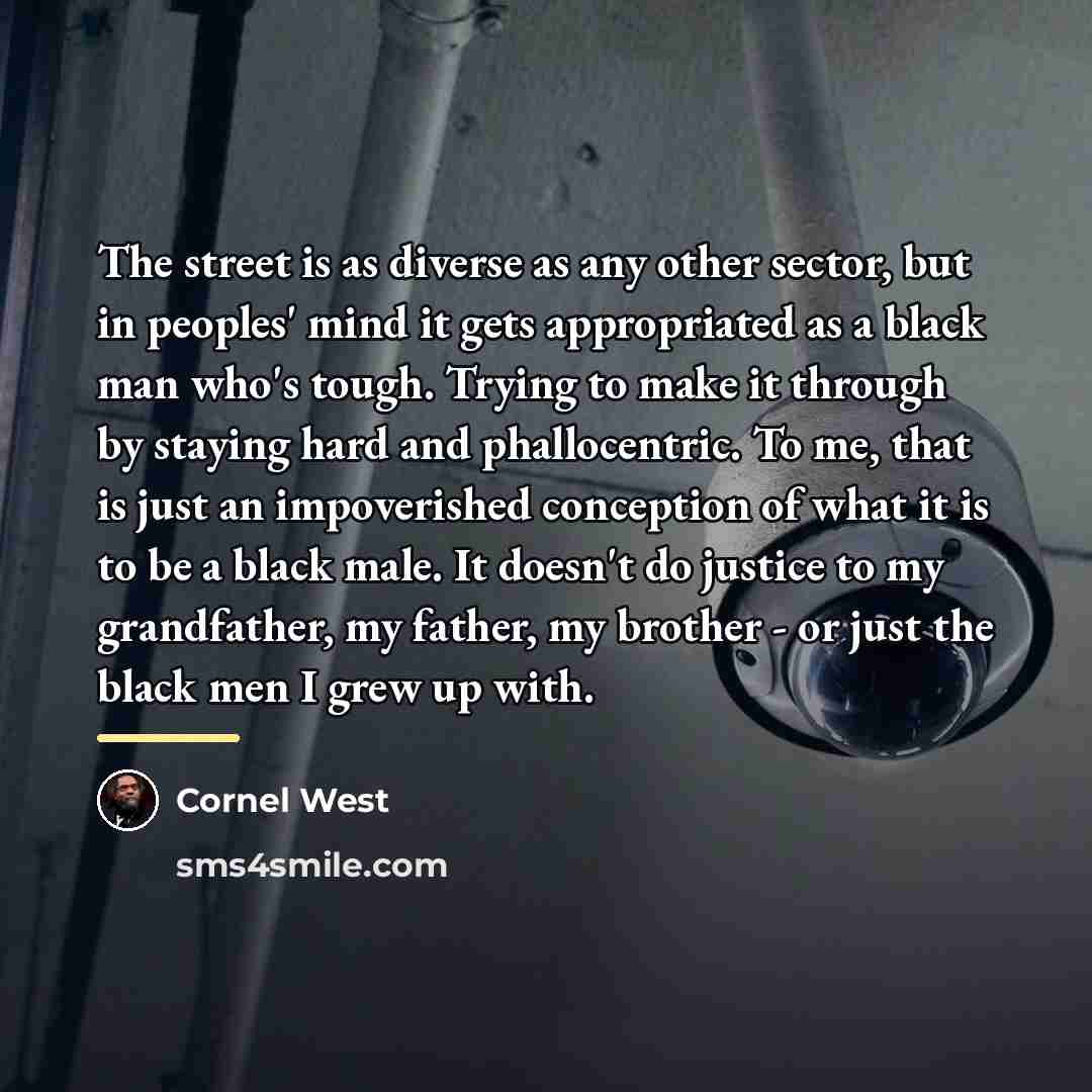 “The street is as diverse as any other sector, but…” quote by Cornel West