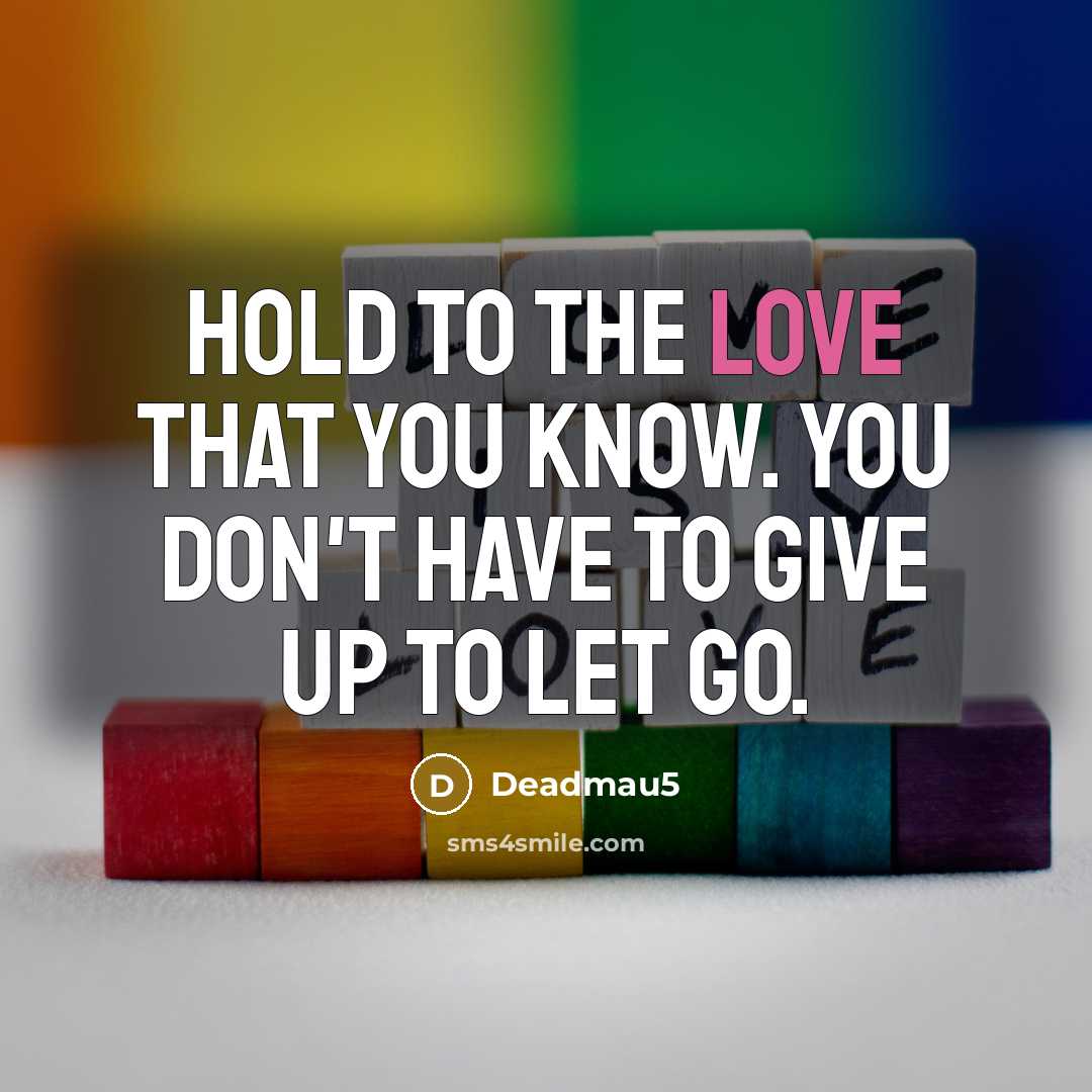 “Hold to the love that you know. You don't have…” quote by Deadmau5