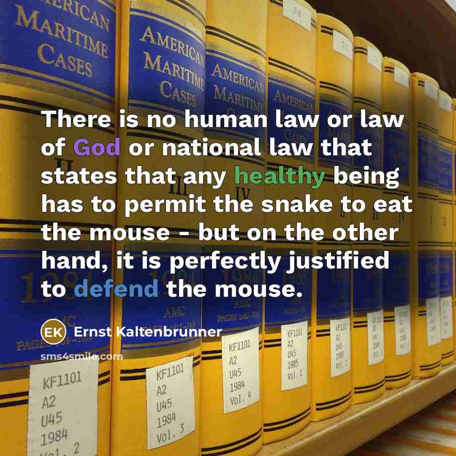 “There is no human law or law of God or…” quote by Ernst Kaltenbrunner