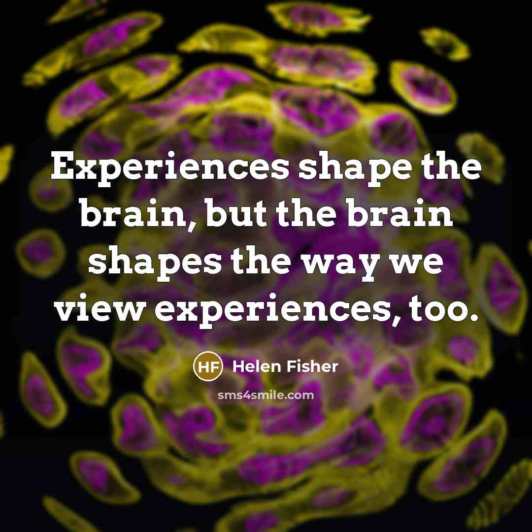 “Experiences shape the brain, but the brain shapes the way…” quote by Helen Fisher