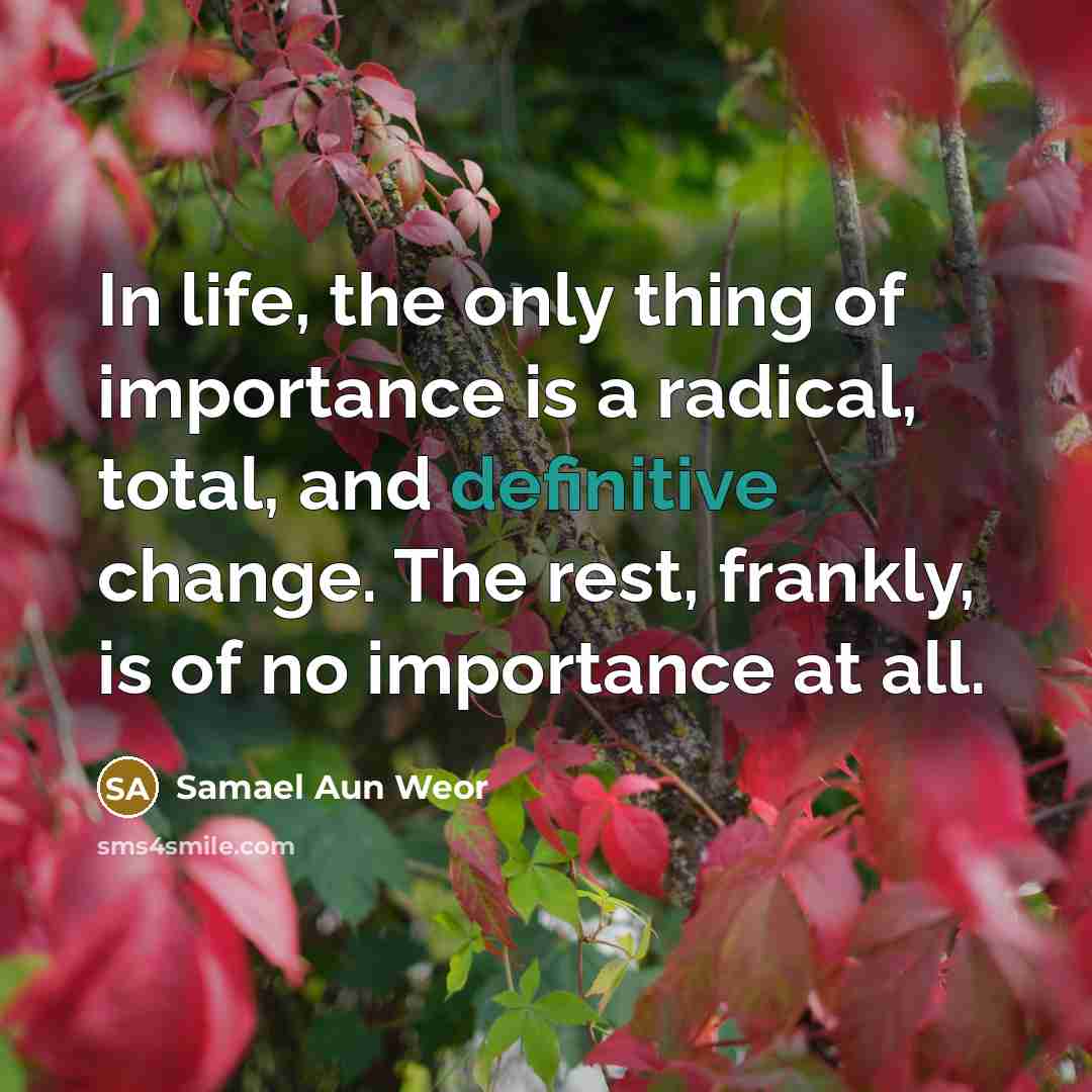 “In life, the only thing of importance is a radical,…” quote by Samael Aun Weor