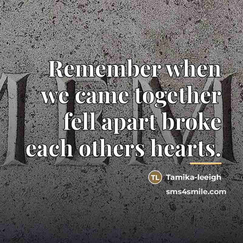 “Remember when we came together fell apart broke each others…” quote by Tamika-leeigh