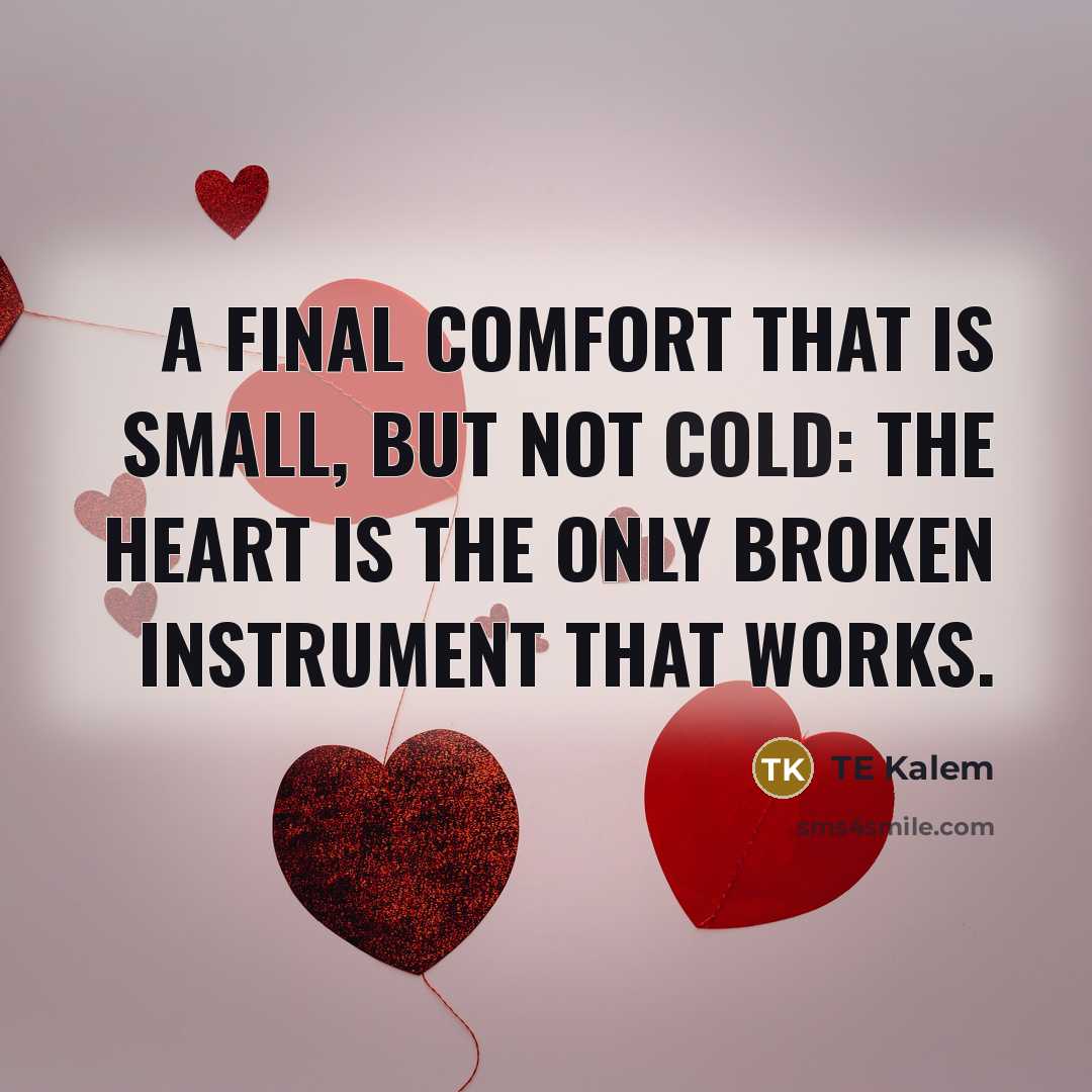 “A final comfort that is small, but not cold: The heart is the only broken instrument that works.” quote by TE Kalem