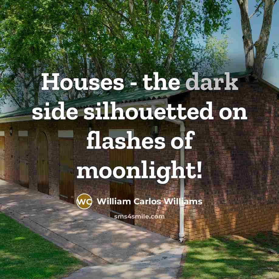“Houses - the dark side silhouetted on flashes of moonlight!…” quote by William Carlos Williams