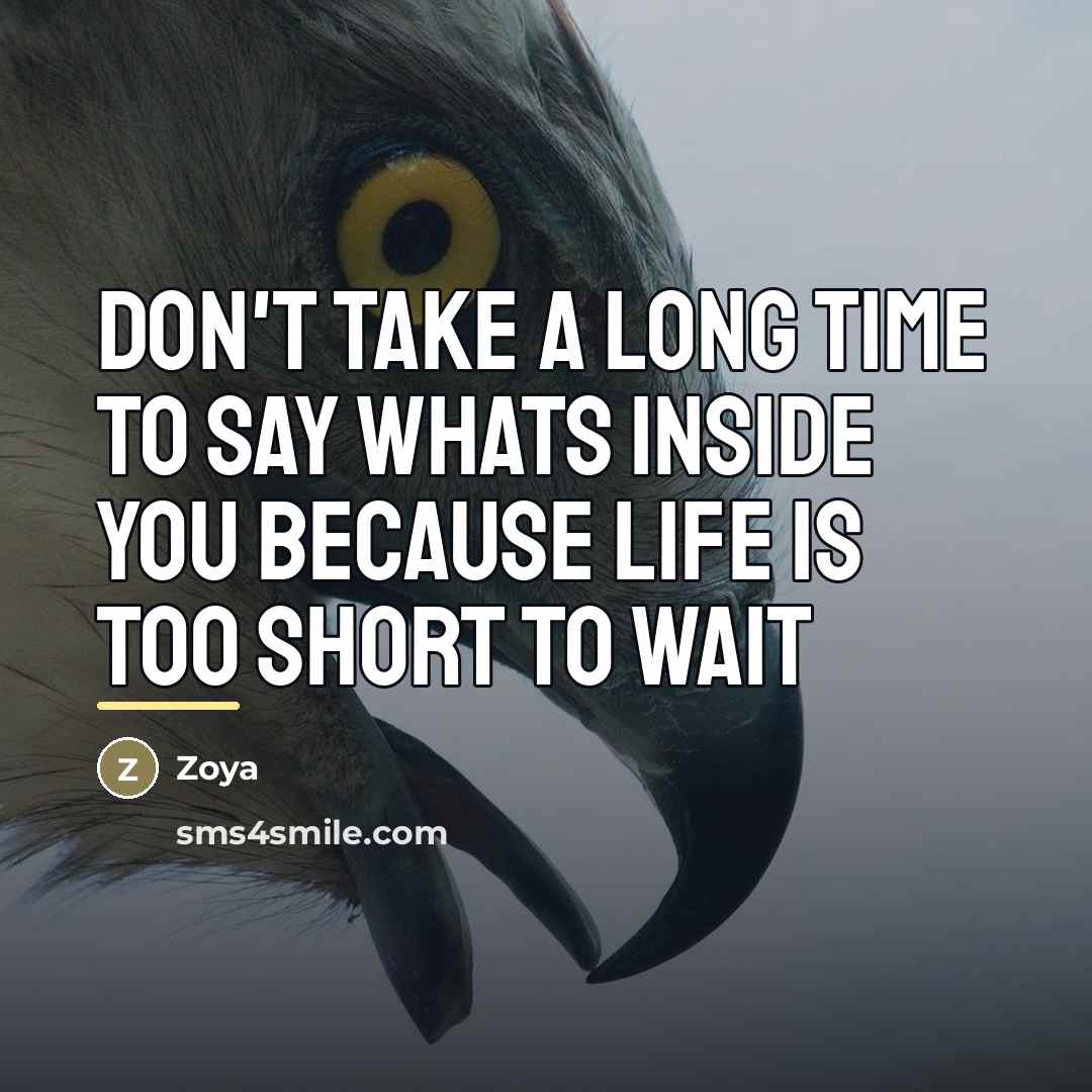 “Don't take a long time to say whats inside you…” quote by Zoya