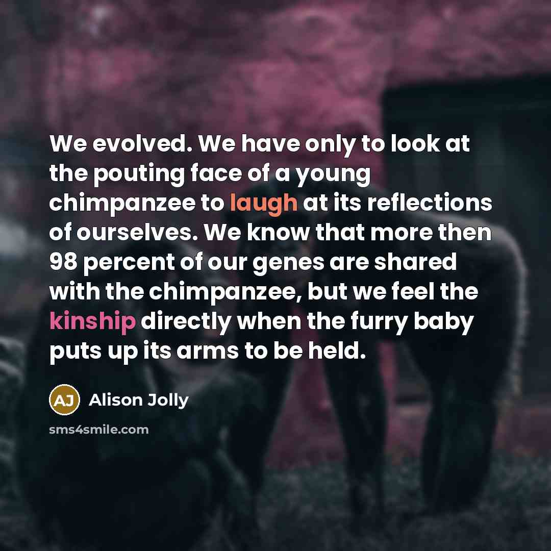 “We evolved. We have only to look at the pouting…” quote by Alison Jolly