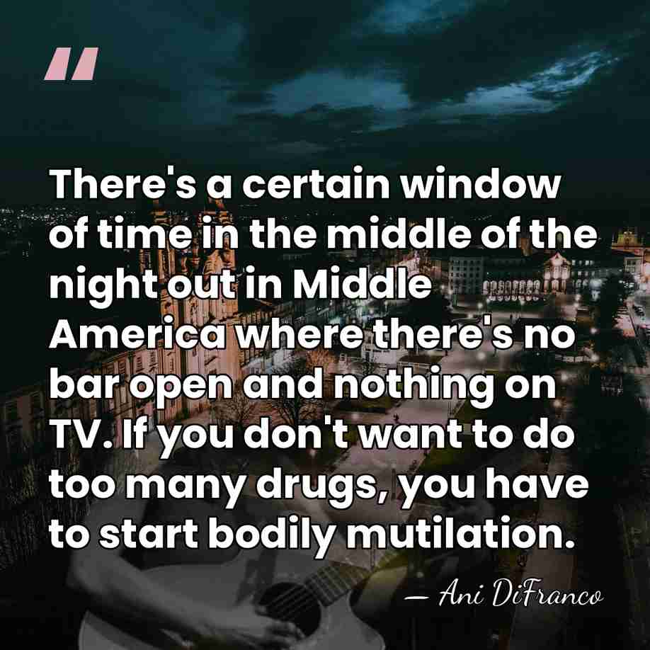 There's a certain window of time in the middle of the night&hellip; - Ani DiFranco
