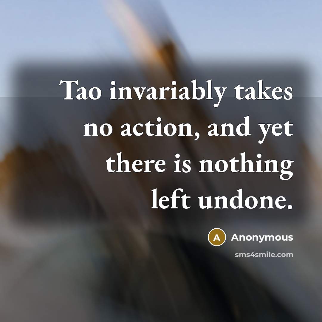 “Tao invariably takes no action, and yet there is nothing…” quote by Anonymous