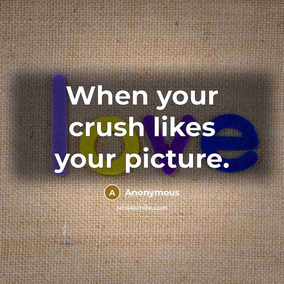 “When your crush likes your picture.…” quote by Anonymous