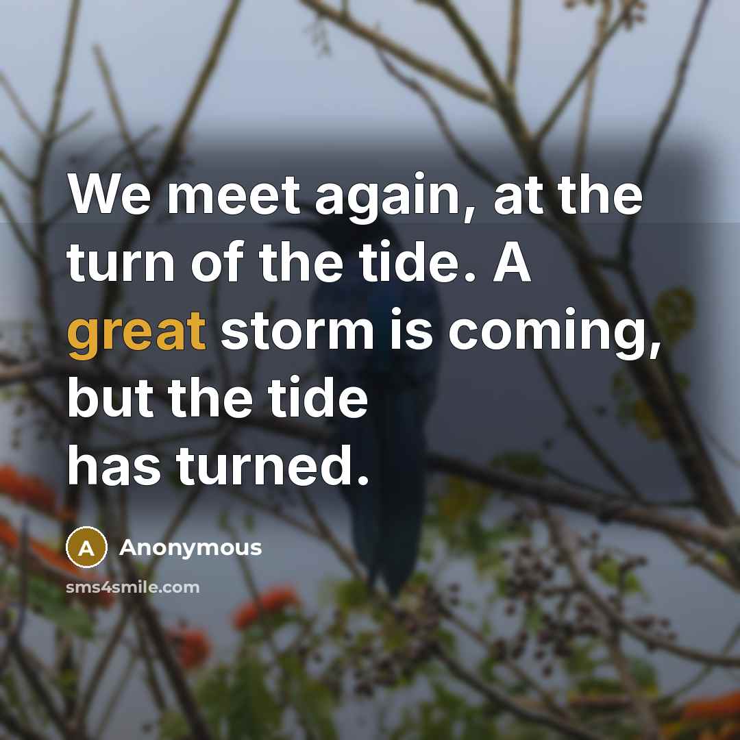 “We meet again, at the turn of the tide. A…” quote by Anonymous