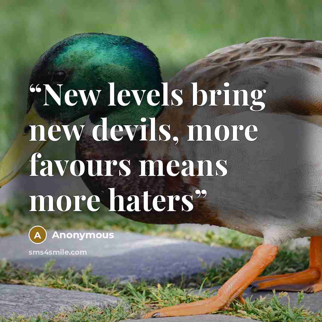 “New levels bring new devils, more favours means more haters” quote by Anonymous