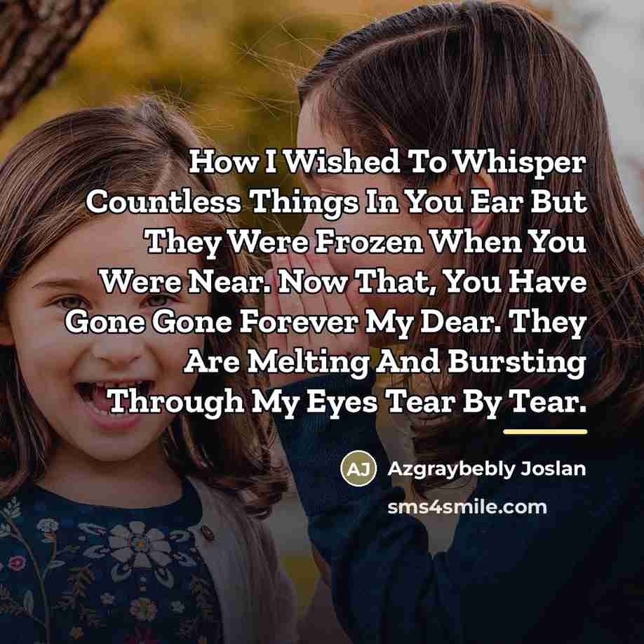 “How I Wished To Whisper Countless Things In You Ear…” quote by Azgraybebly Joslan
