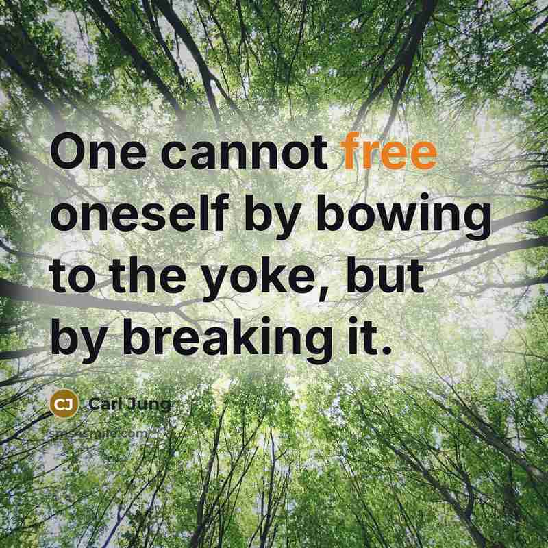 “One cannot free oneself by bowing to the yoke, but…” quote by Carl Jung