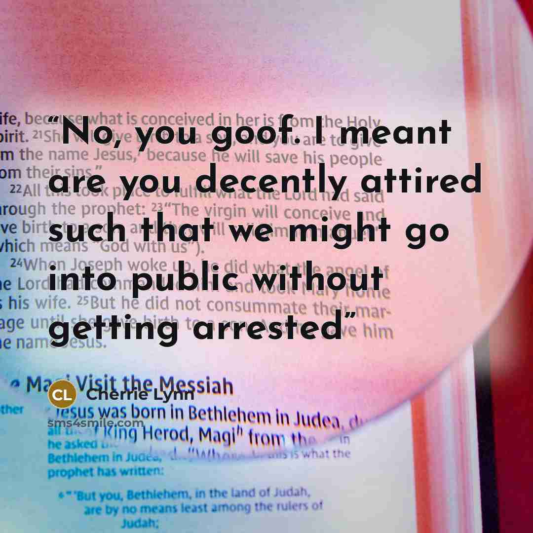 “No, you goof. I meant are you decently attired such that we might go into public without getting arrested” quote by Cherrie Lynn
