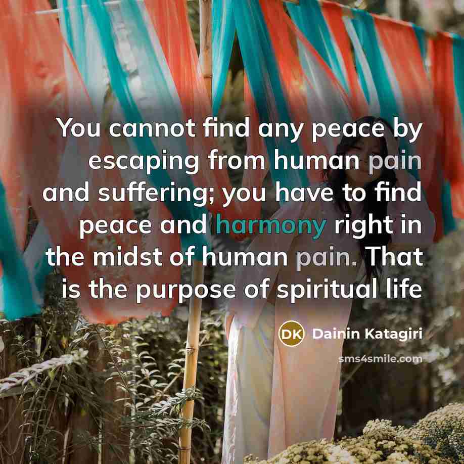 “You cannot find any peace by escaping from human pain…” quote by Dainin Katagiri