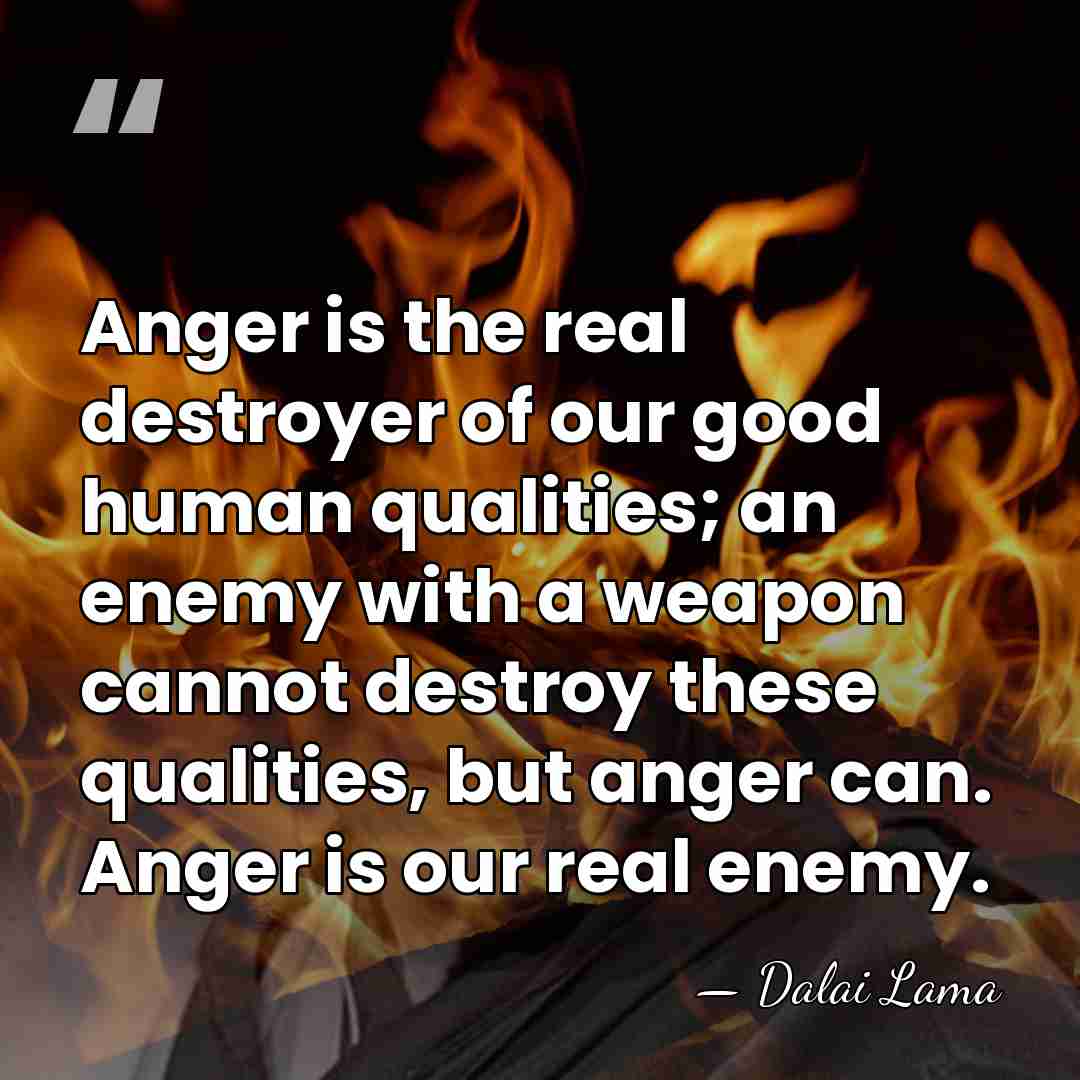 Anger is the real destroyer of our good human qualities; an enemy&hellip; - Dalai Lama