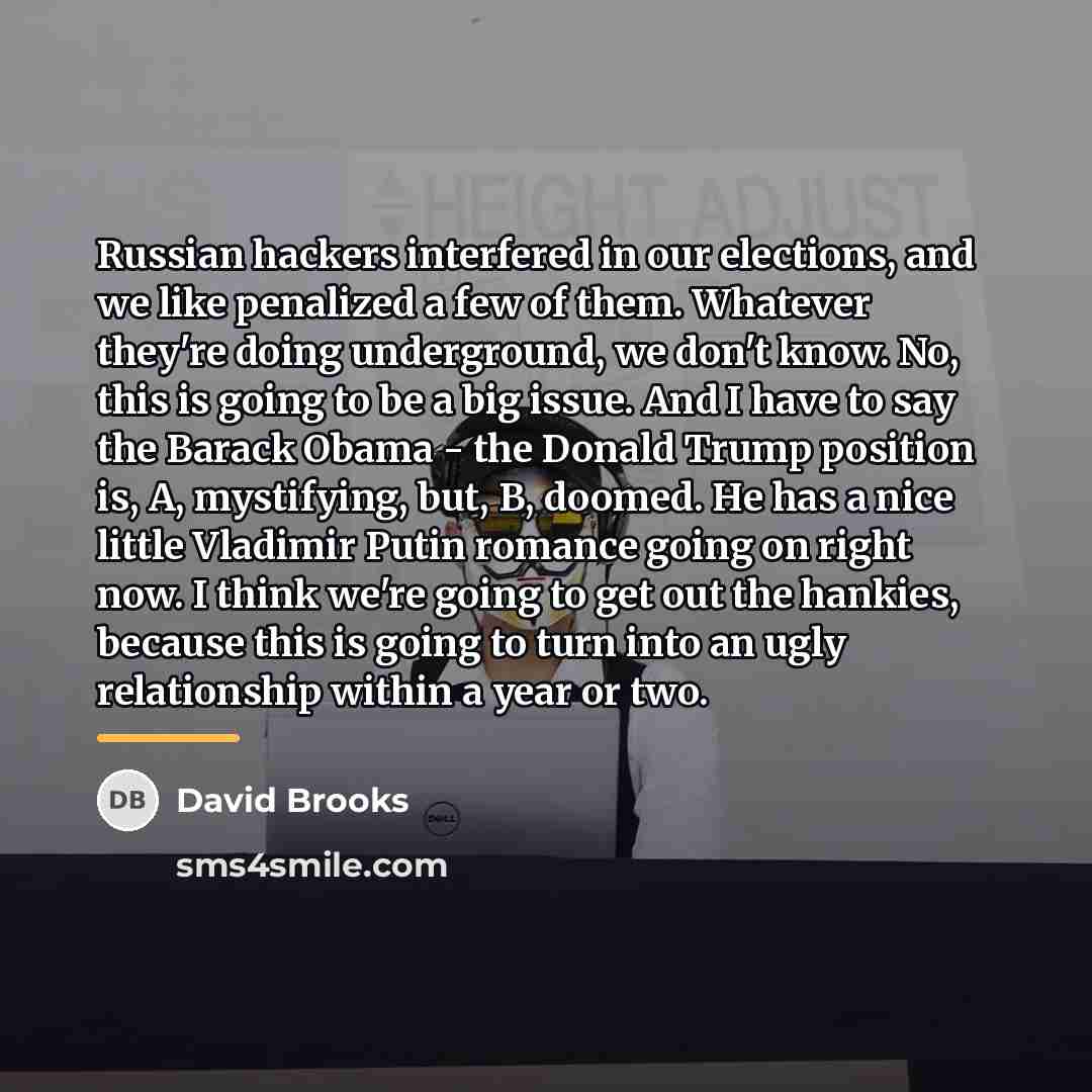 “Russian hackers interfered in our elections, and we like penalized…” quote by David Brooks
