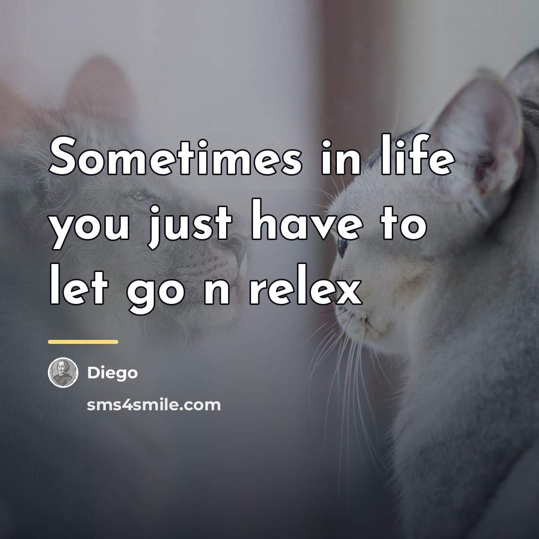 “Sometimes in life you just have to let go n…” quote by Diego