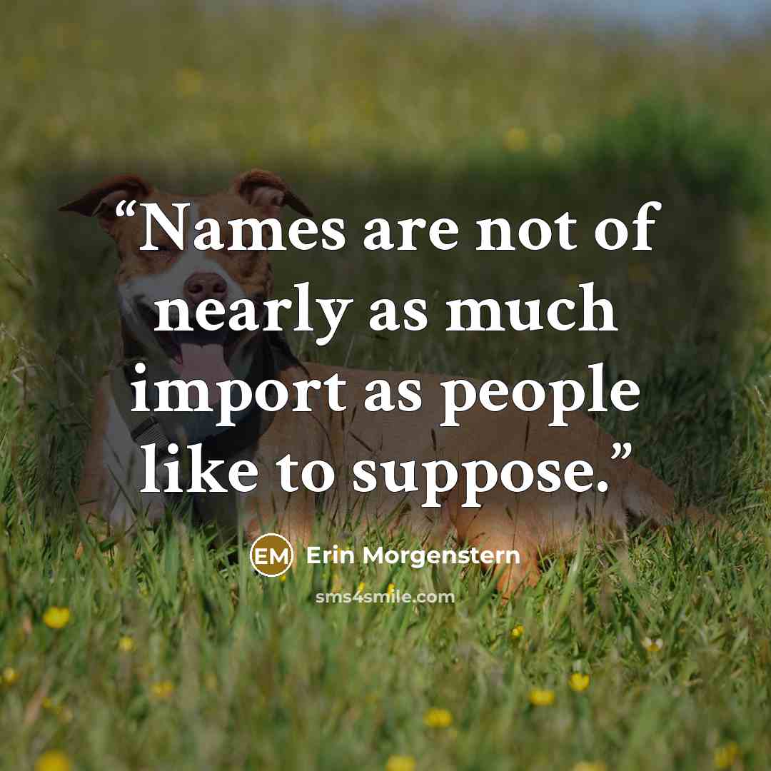 “Names are not of nearly as much import as people like to suppose.” quote by Erin Morgenstern