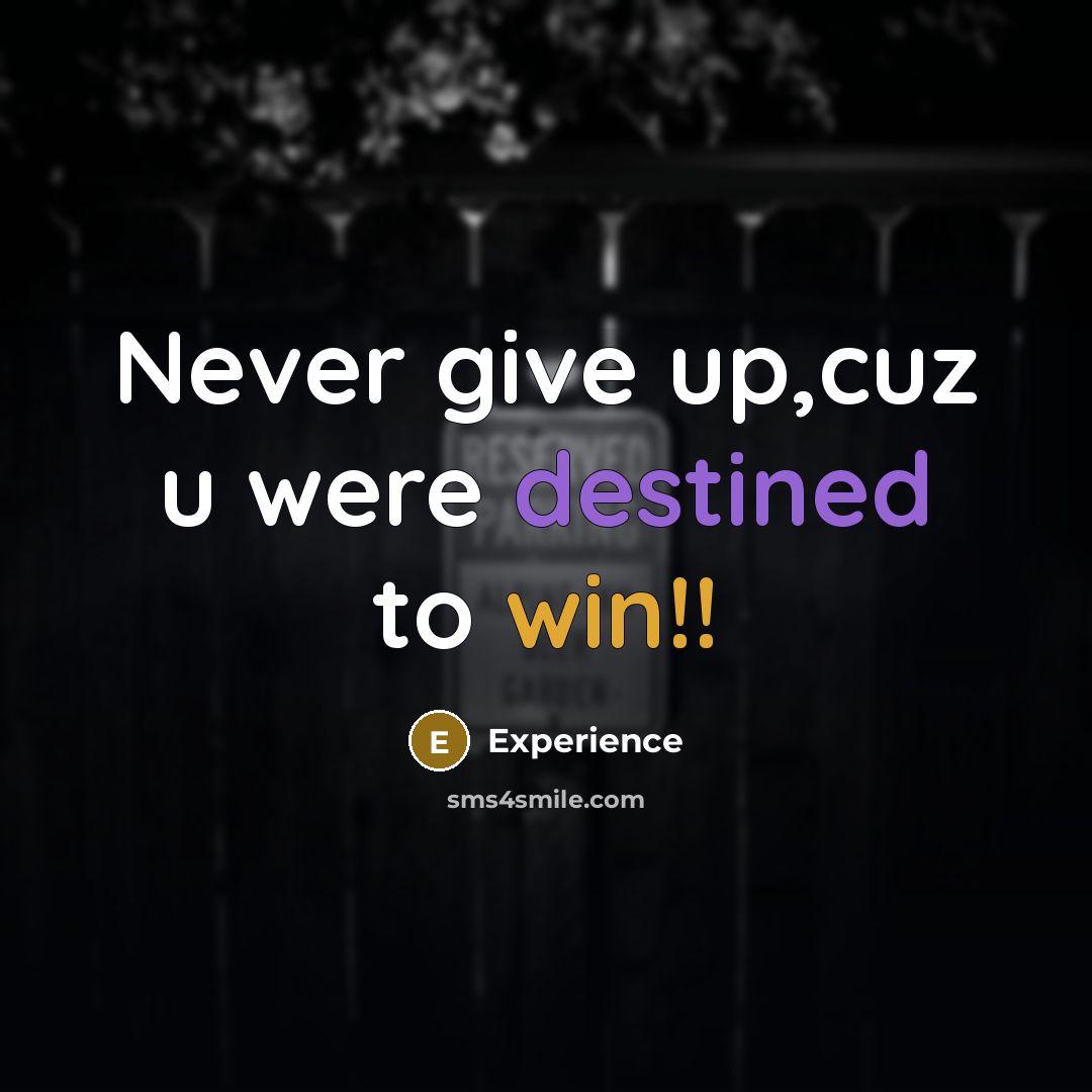 “Never give up,cuz u were destined to win!!” quote by Experience