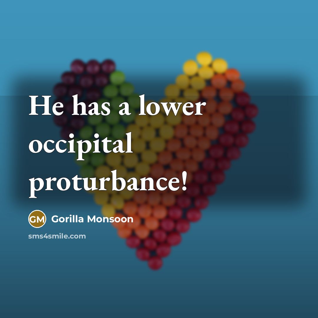 “He has a lower occipital proturbance!…” quote by Gorilla Monsoon