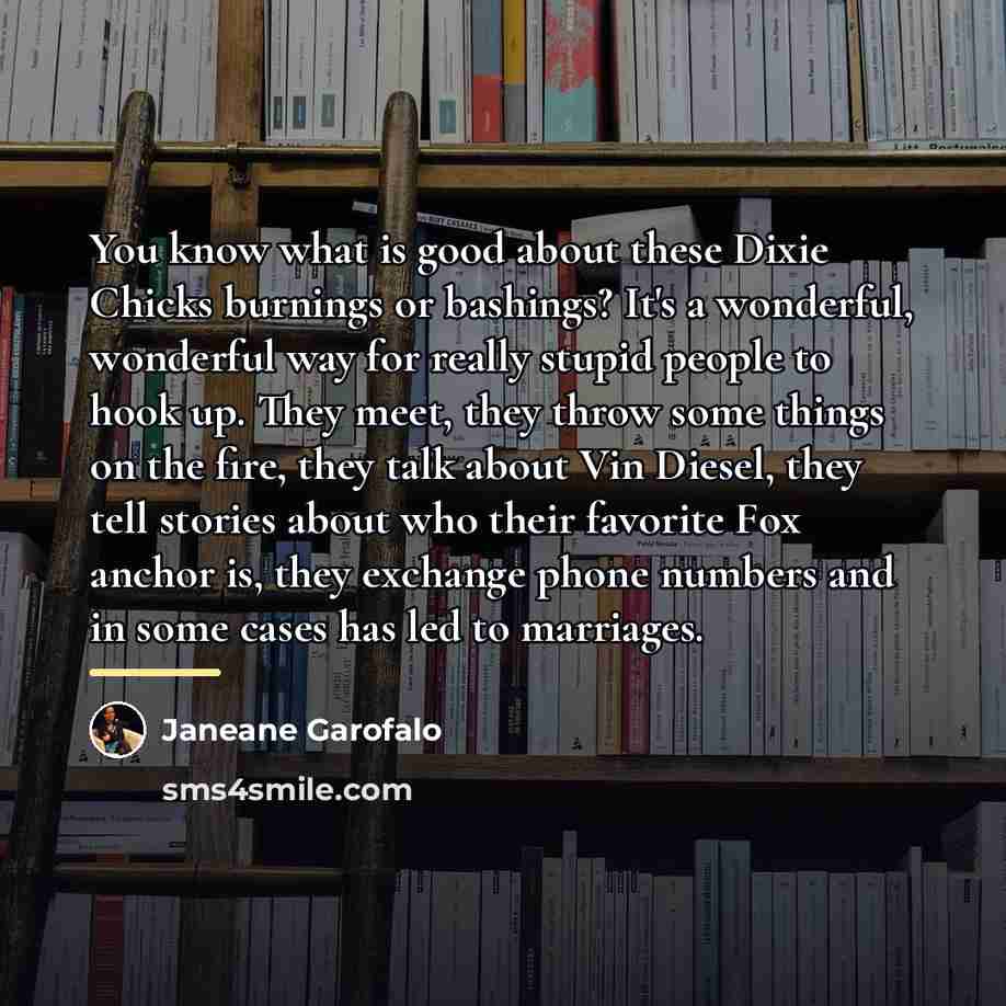 “You know what is good about these Dixie Chicks burnings…” quote by Janeane Garofalo