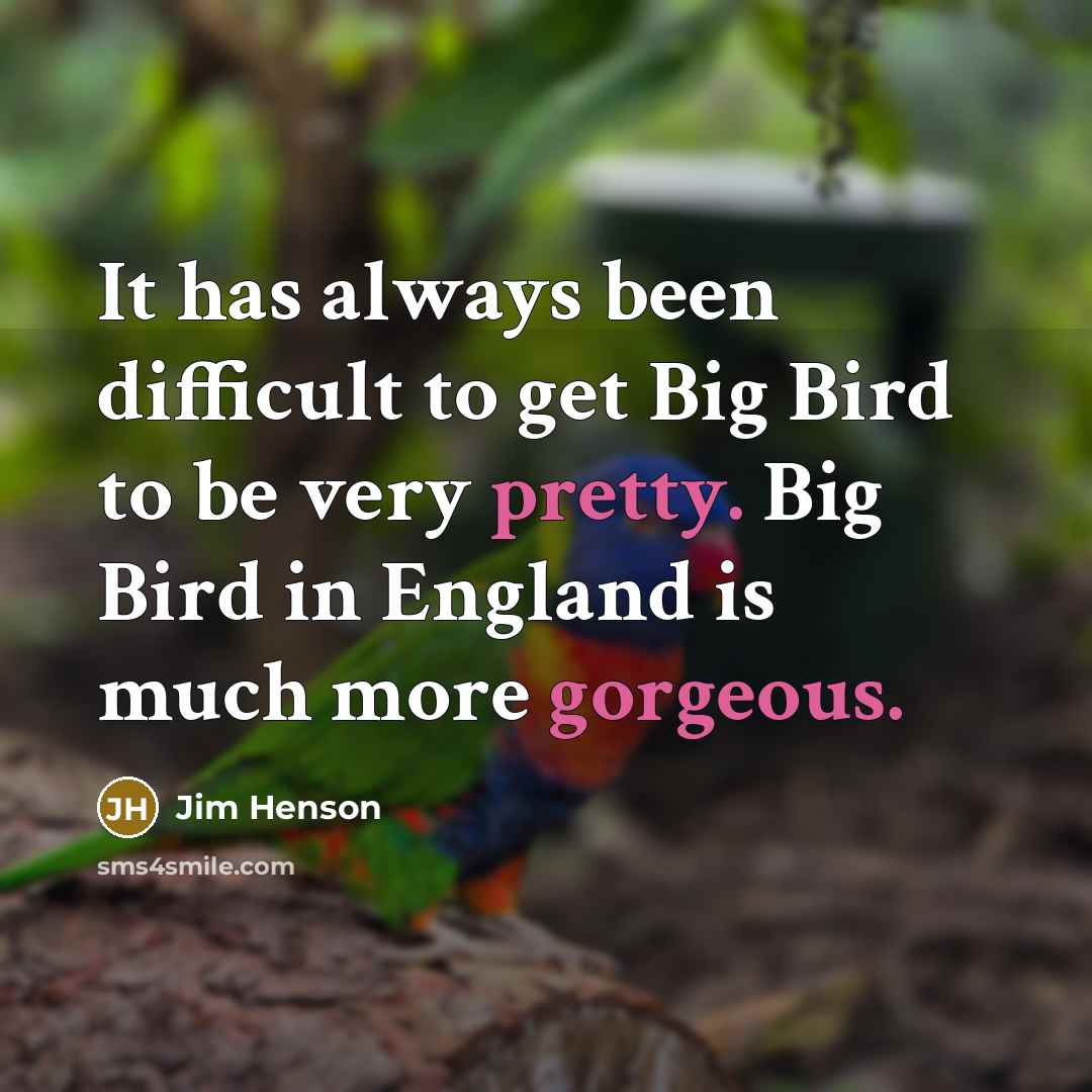 “It has always been difficult to get Big Bird to be very pretty. Big Bird in England is much more gorgeous.” quote by Jim Henson