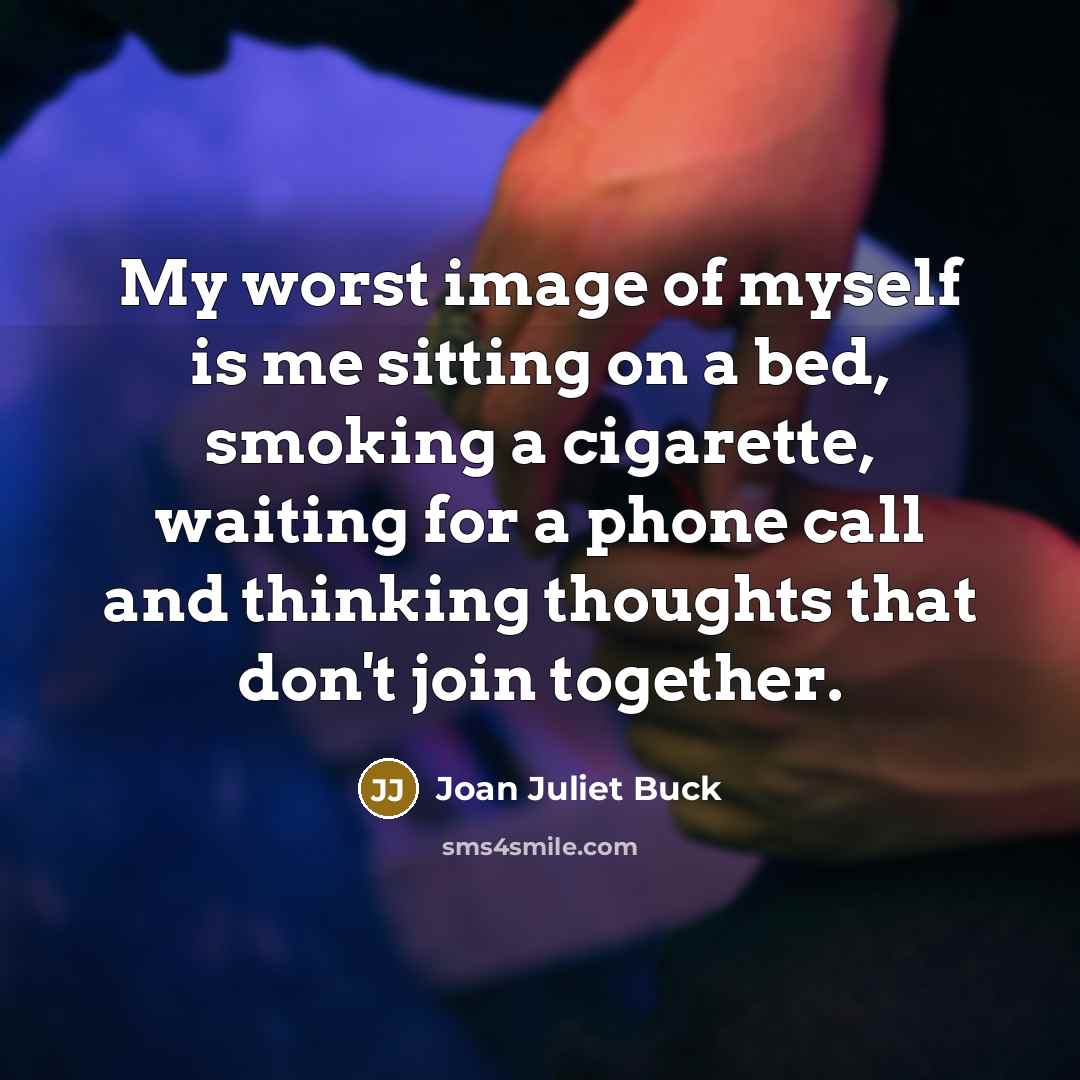 “My worst image of myself is me sitting on a…” quote by Joan Juliet Buck