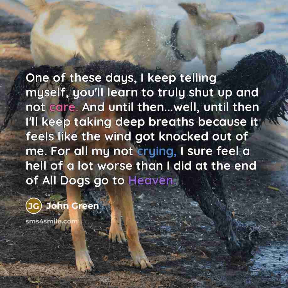 “One of these days, I keep telling myself, you'll learn to truly shut up and not care. And until then...well, until then I'll keep taking deep breaths because it feels like the wind got knocked out of me. For all my not crying, I sure feel a hell of a lot worse than I did at the end of All Dogs go…” quote by John Green