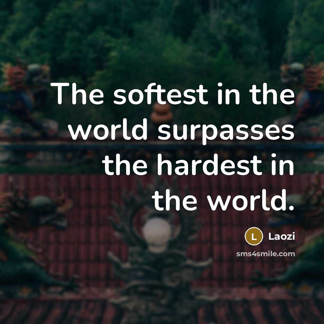 “The softest in the world surpasses the hardest in the…” quote by Laozi