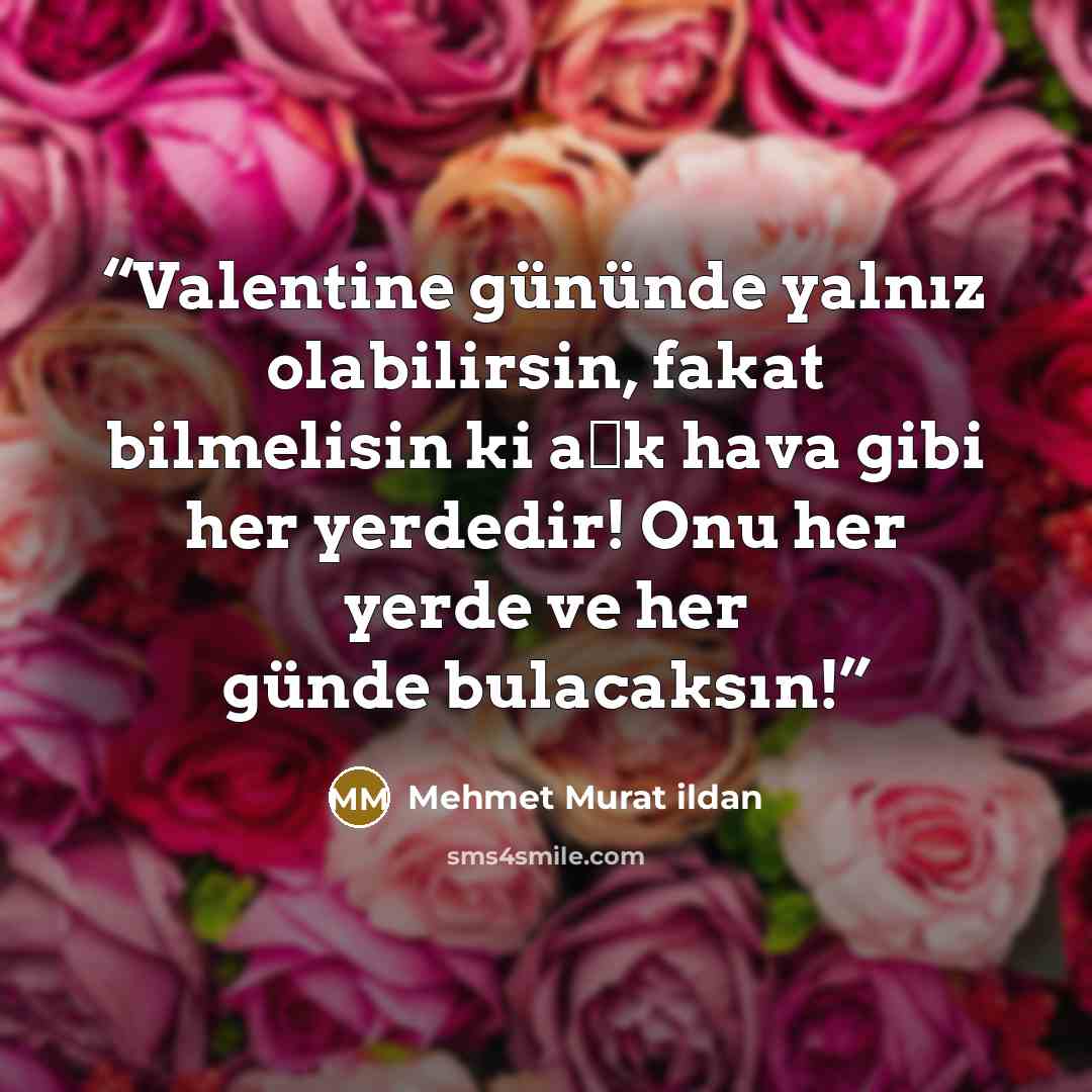 “Valentine gününde yalnız olabilirsin, fakat bilmelisin ki aşk hava gibi her yerdedir! Onu her yerde ve her günde bulacaksın!” quote by Mehmet Murat ildan