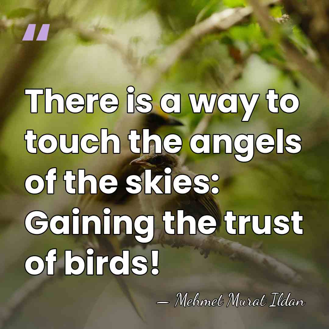 There is a way to touch the angels of the skies: Gaining&hellip; - Mehmet Murat Ildan