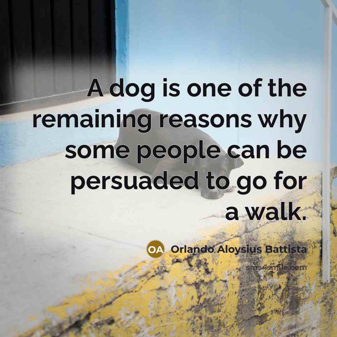 “A dog is one of the remaining reasons why some…” quote by Orlando Aloysius Battista