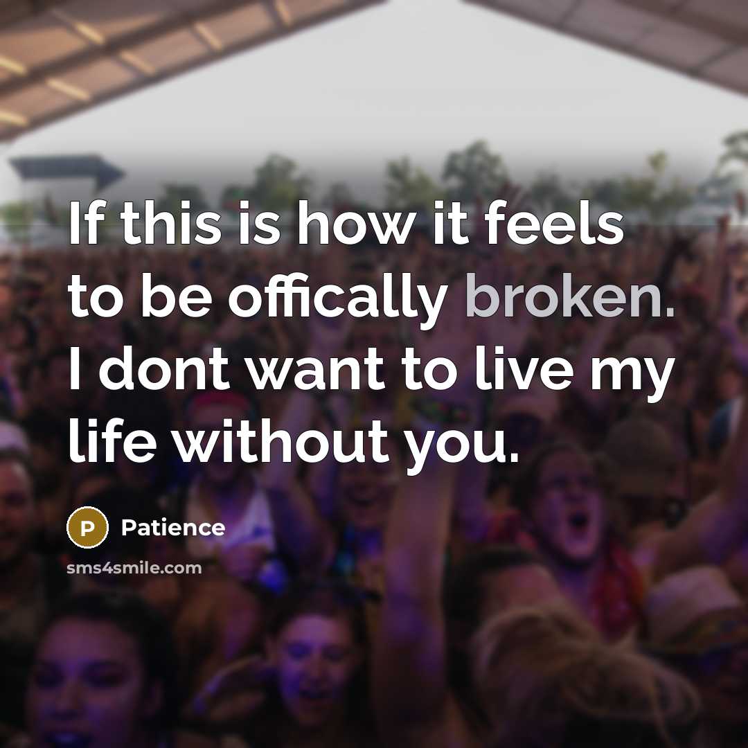 “If this is how it feels to be offically broken.…” quote by Patience