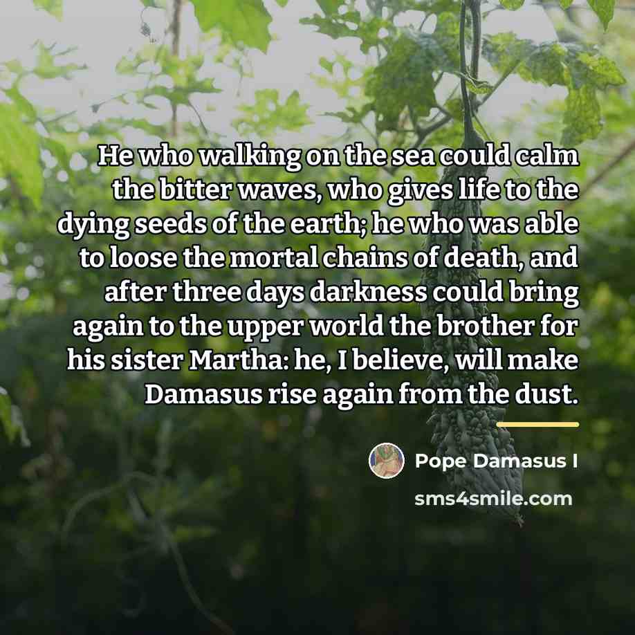 “He who walking on the sea could calm the bitter…” quote by Pope Damasus I