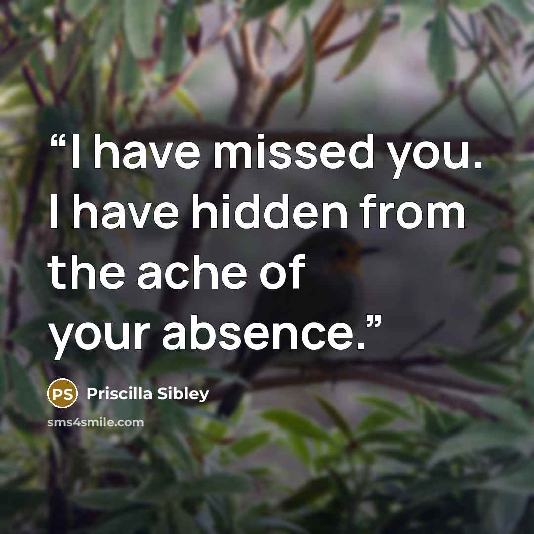 “I have missed you. I have hidden from the ache of your absence.” quote by Priscilla Sibley
