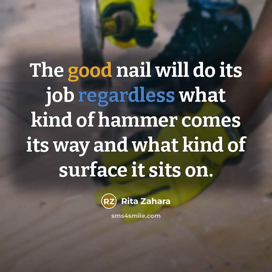 “The good nail will do its job regardless what kind of hammer comes its way and what kind of surface it sits on.” quote by Rita Zahara
