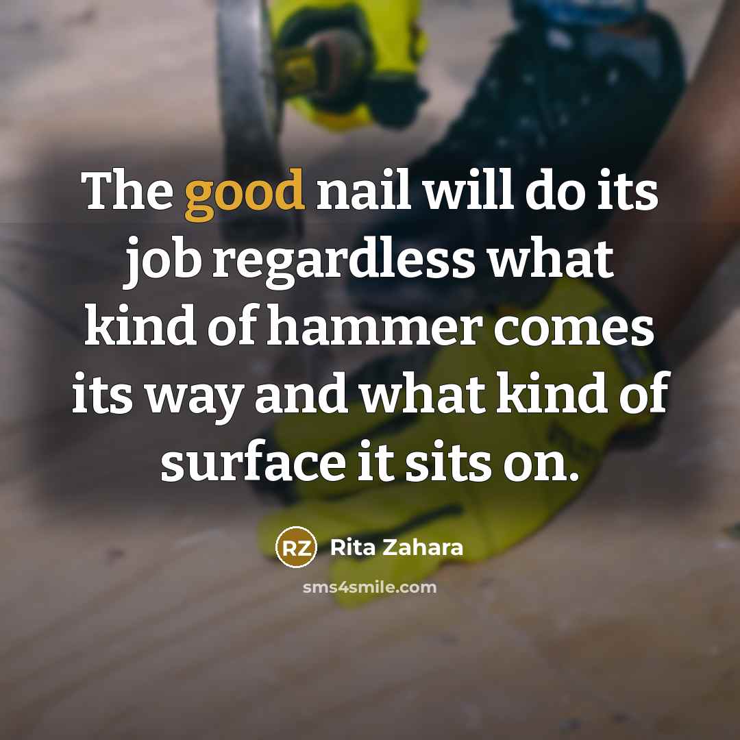 “The good nail will do its job regardless what kind…” quote by Rita Zahara