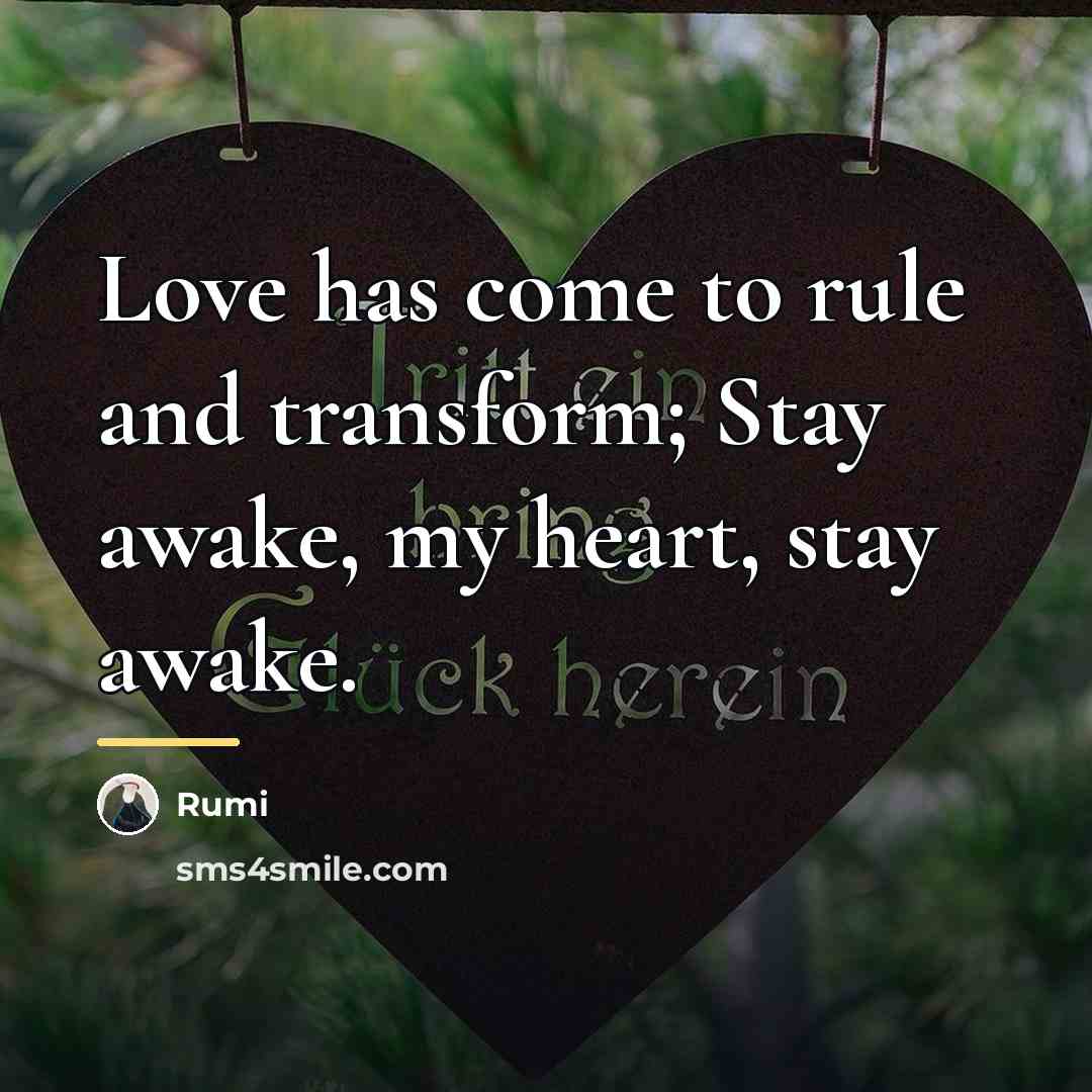 “Love has come to rule and transform; Stay awake, my…” quote by Rumi